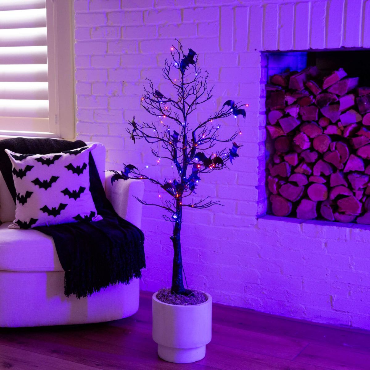 4-Foot Pre-Lit Artificial Halloween Black Spooky Twig Tree with Bats and 120 Orange & Purple LED Lights