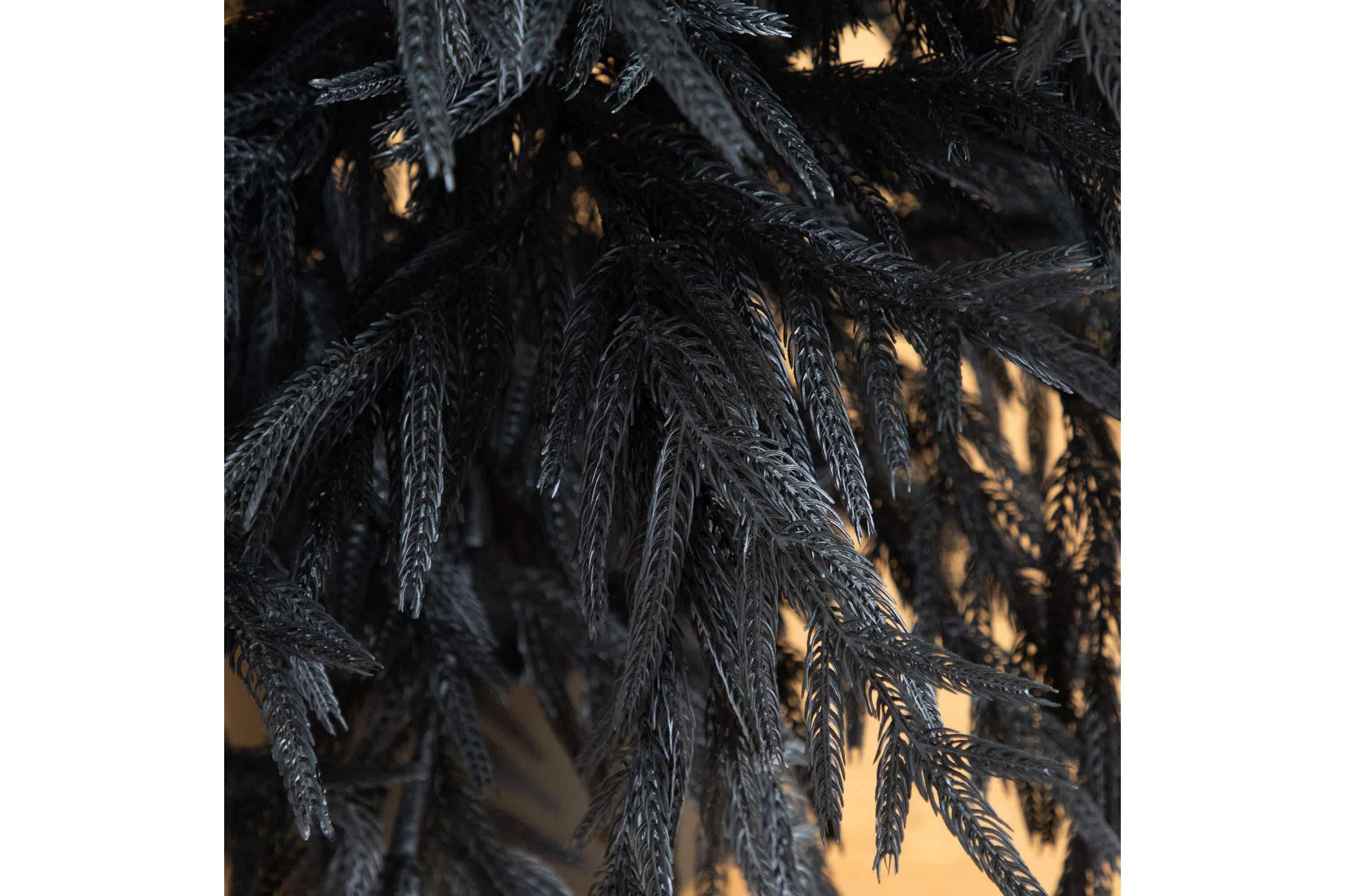 6-Foot Artificial Halloween Real Touch Black Norfolk Pine Christmas Tree with Natural Look