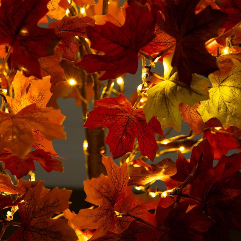 5-Foot Pre-Lit Shades of Autumn Maple Artificial Fall Tree with 270 Warm White LED Lights