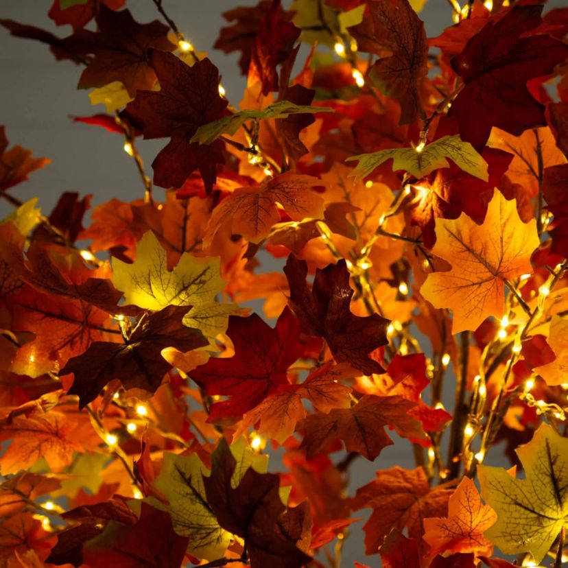 6-Foot Pre-Lit Shades of Autumn Maple Artificial Fall Tree with 360 Warm White LED Lights