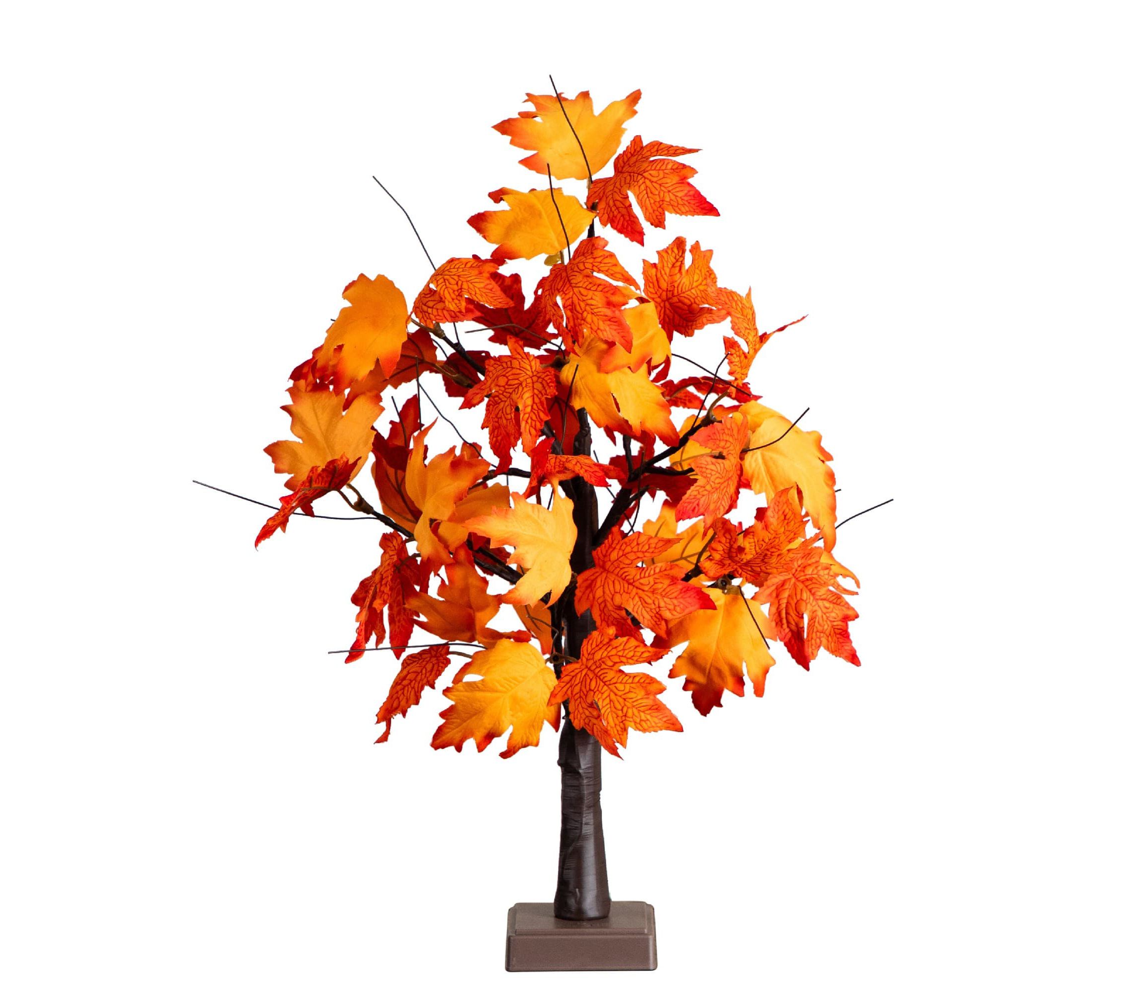 2-Foot Pre-Lit Bright Autumn Maple Artificial Fall Tree with 24 Warm White LED Lights and Detachable Base
