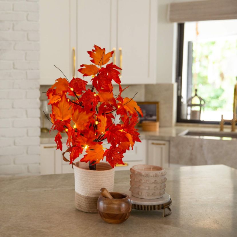 2-Foot Pre-Lit Bright Autumn Maple Artificial Fall Tree with 24 Warm White LED Lights and Detachable Base