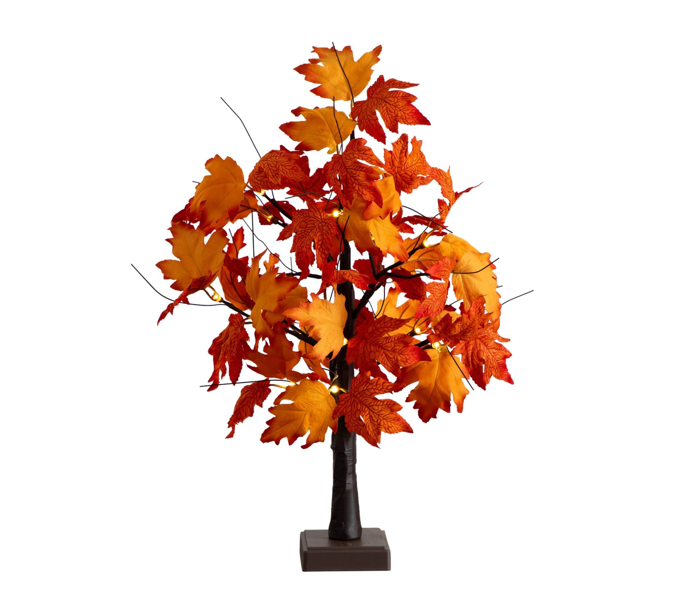 2-Foot Pre-Lit Bright Autumn Maple Artificial Fall Tree with 24 Warm White LED Lights and Detachable Base