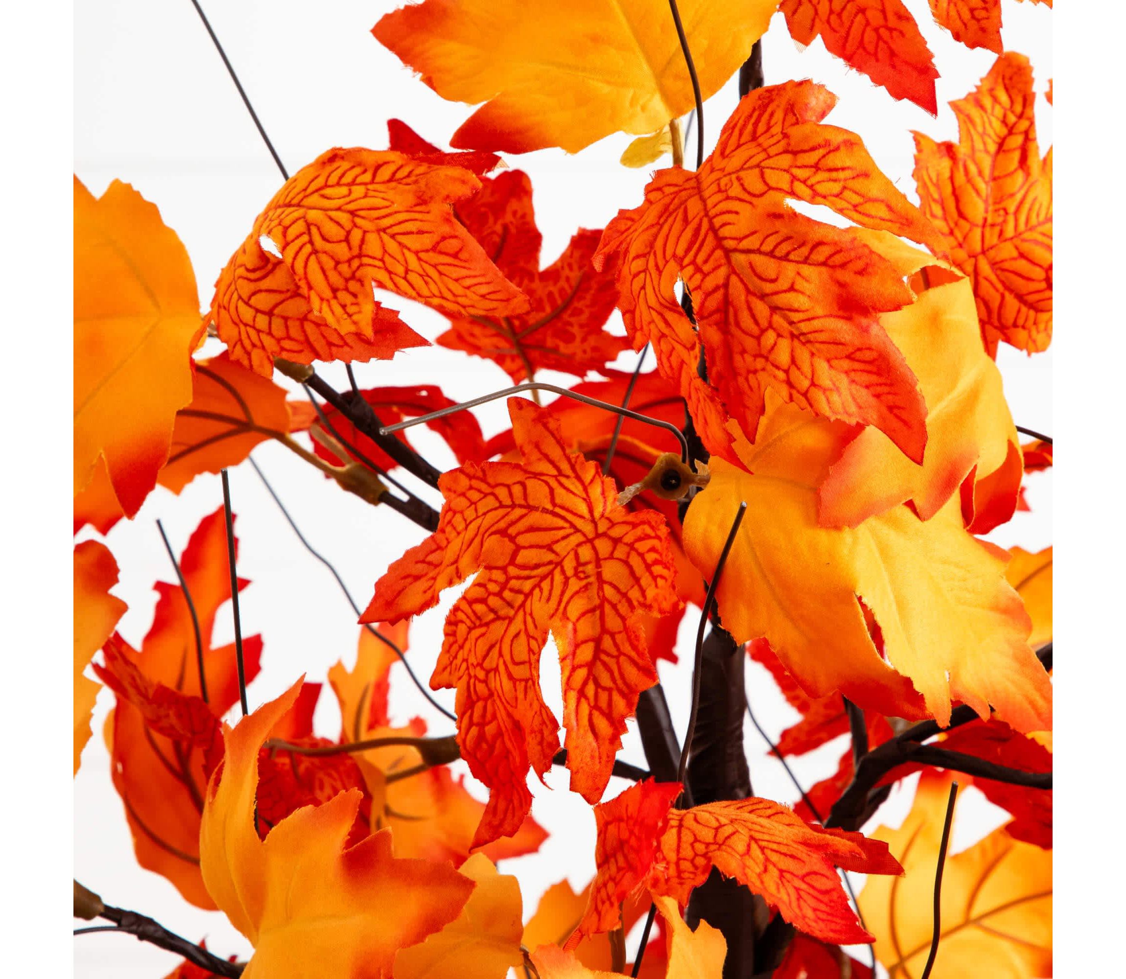2-Foot Pre-Lit Bright Autumn Maple Artificial Fall Tree with 24 Warm White LED Lights and Detachable Base