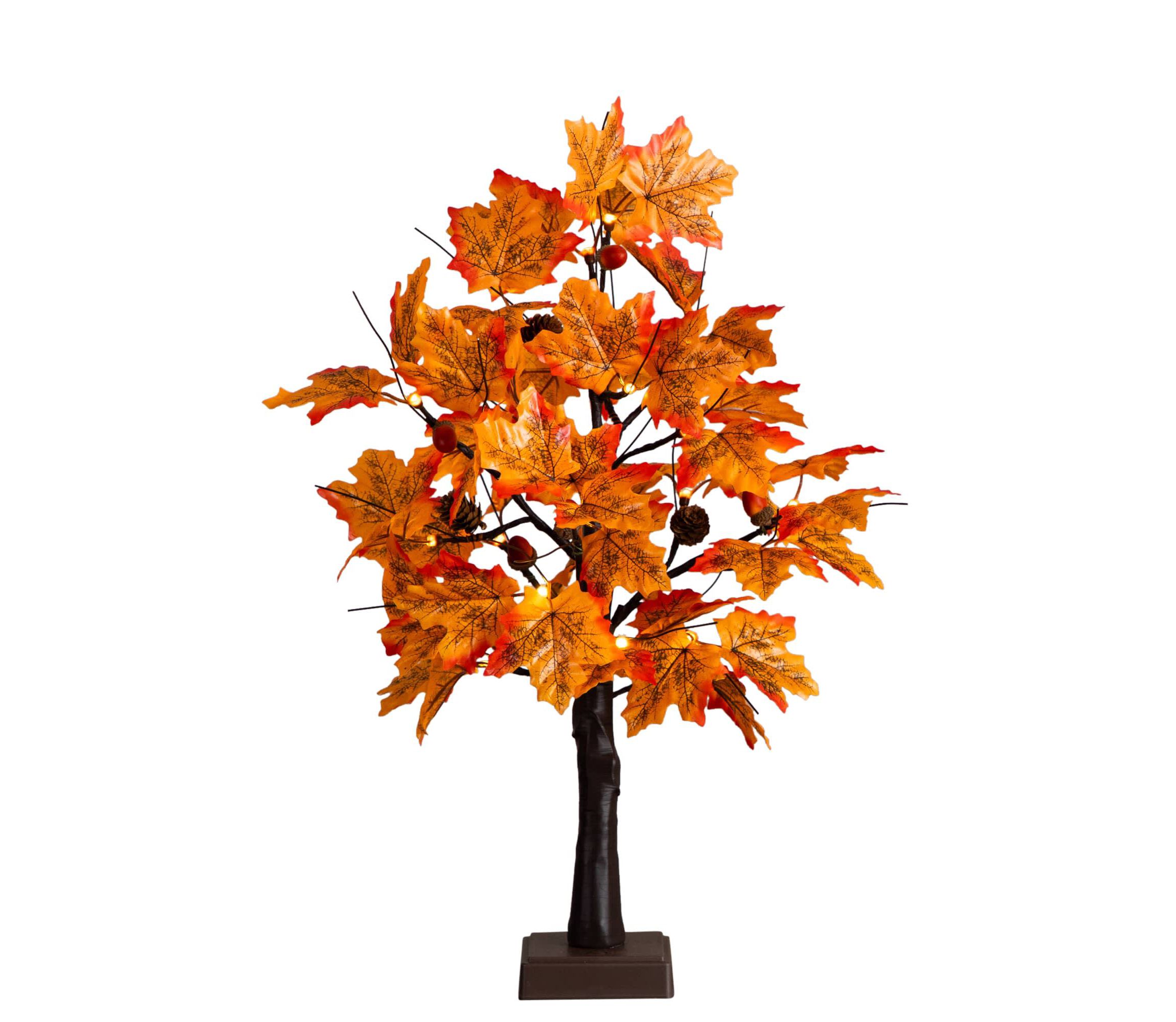 2-Foot Pre-Lit Autumn Maple Artificial Fall Tree with Acorns & Pinecones and 18 Warm White LED Lights