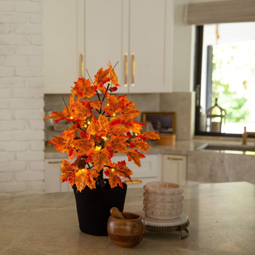 2-Foot Pre-Lit Autumn Maple Artificial Fall Tree with Acorns & Pinecones and 18 Warm White LED Lights