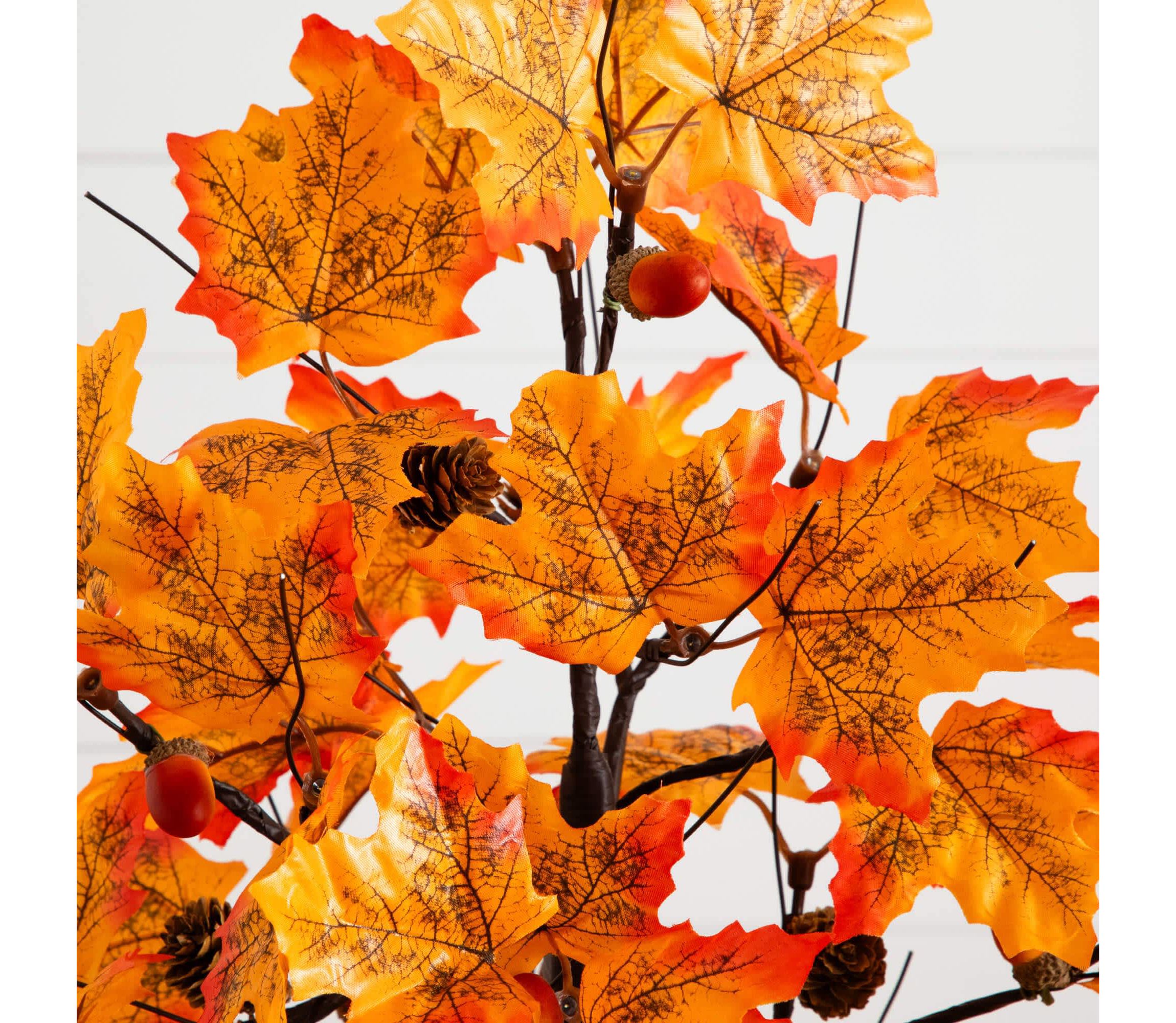 2-Foot Pre-Lit Autumn Maple Artificial Fall Tree with Acorns & Pinecones and 18 Warm White LED Lights