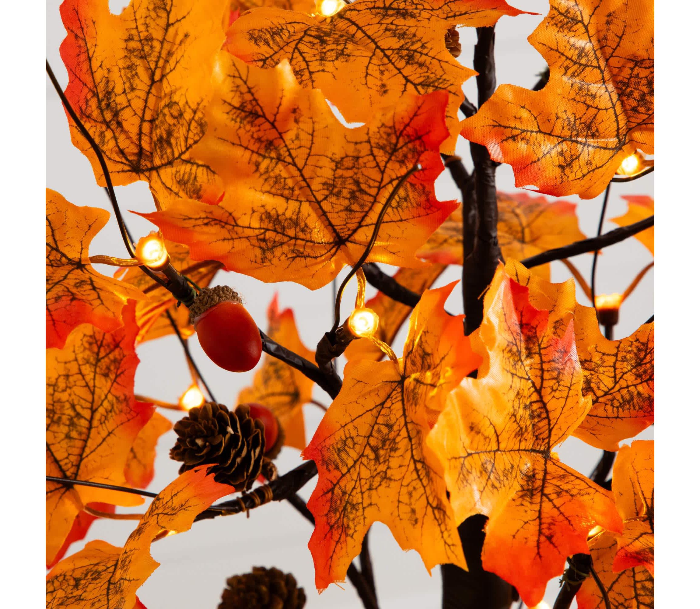 2-Foot Pre-Lit Autumn Maple Artificial Fall Tree with Acorns & Pinecones and 18 Warm White LED Lights