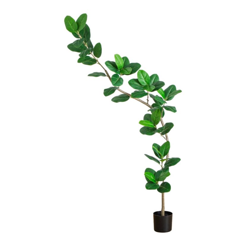 7-Foot Artificial Curved Trunk Audrey Ficus Tree