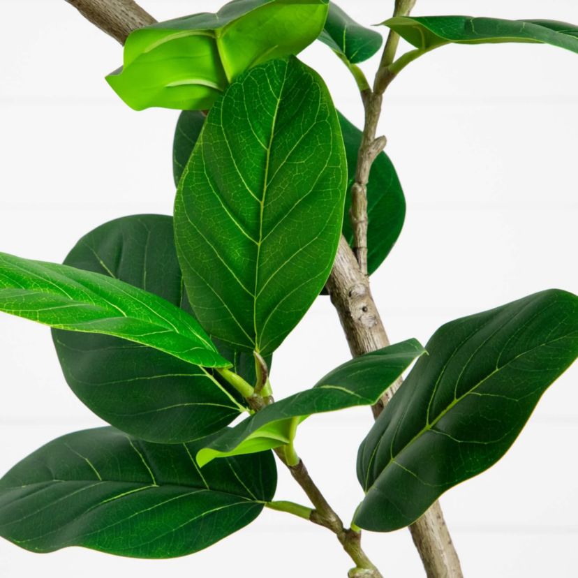 7-Foot Artificial Curved Trunk Audrey Ficus Tree