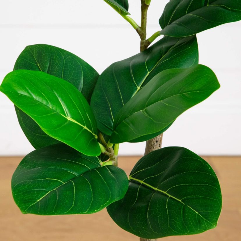 7-Foot Artificial Curved Trunk Audrey Ficus Tree