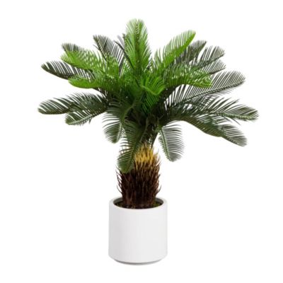 Nearly Natural 30-Inch UV Resistant Artificial Cycas Palm Tree in White Decorative Planter (Indoor/Outdoor), Green