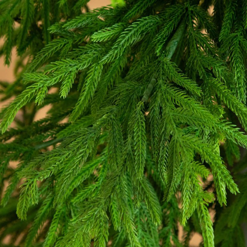 7-Foot Artificial Real Touch Norfolk Island Pine Christmas Tree with Natural Look