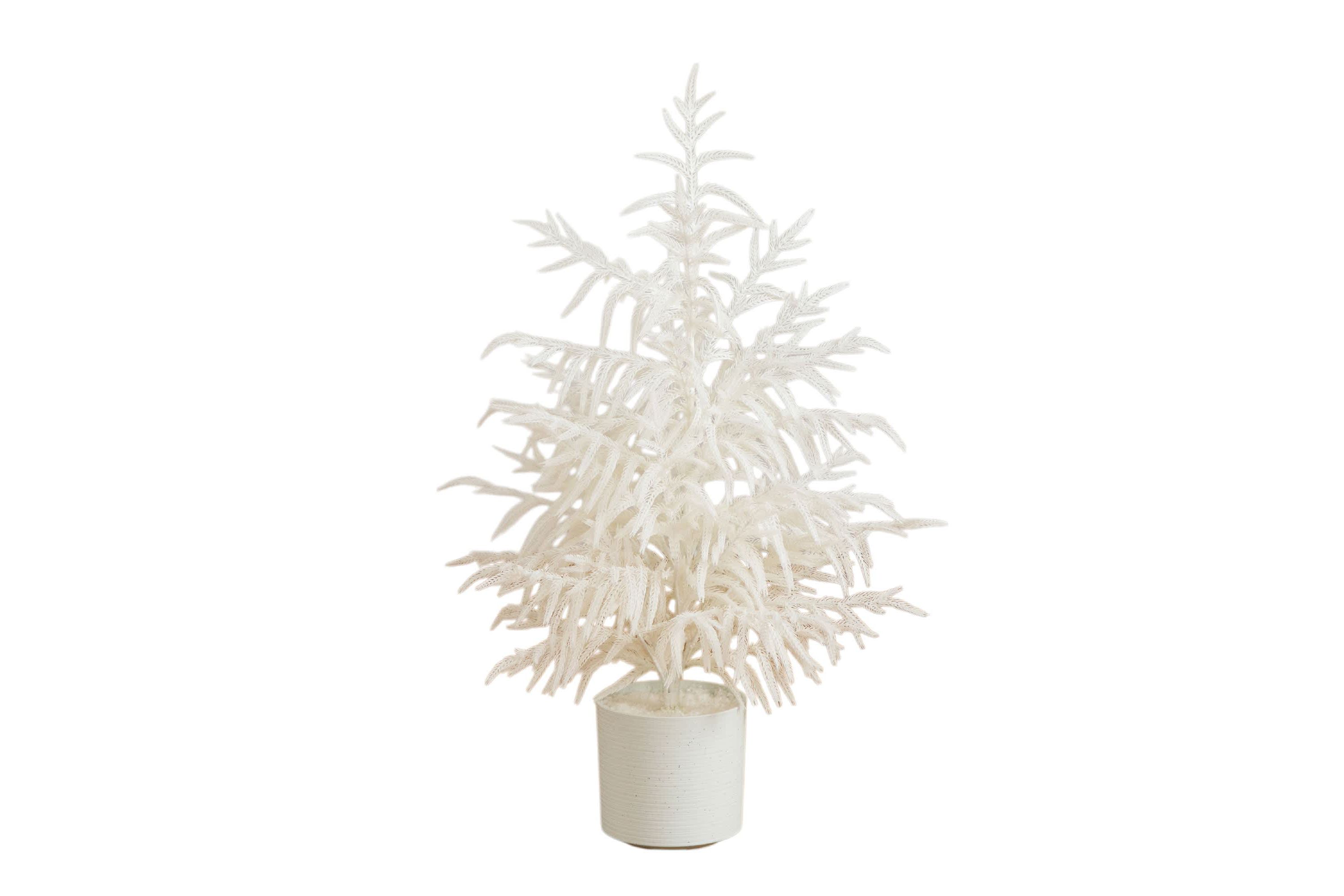 3-Foot Artificial Real Touch White Norfolk Island Pine Christmas Tree with Natural Look