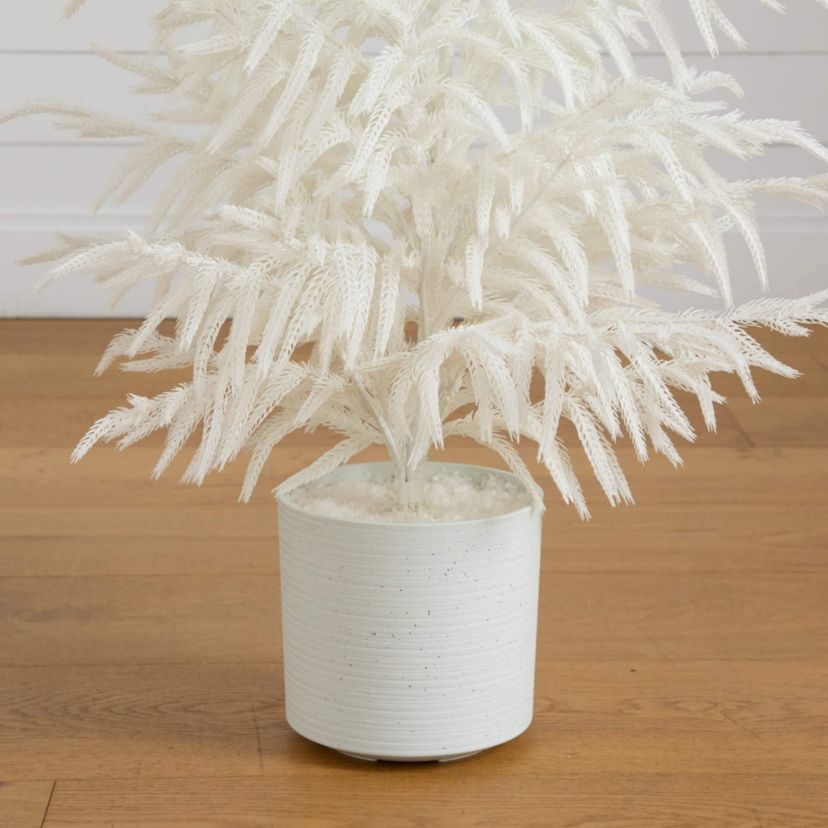 3-Foot Artificial Real Touch White Norfolk Island Pine Christmas Tree with Natural Look