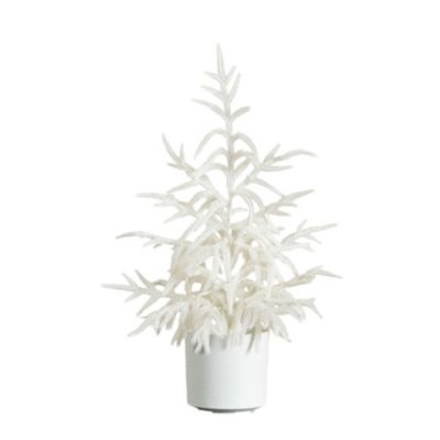 Nearly Natural 2-Foot Artificial Real Touch White Norfolk Island Pine Christmas Tree with Natural Look