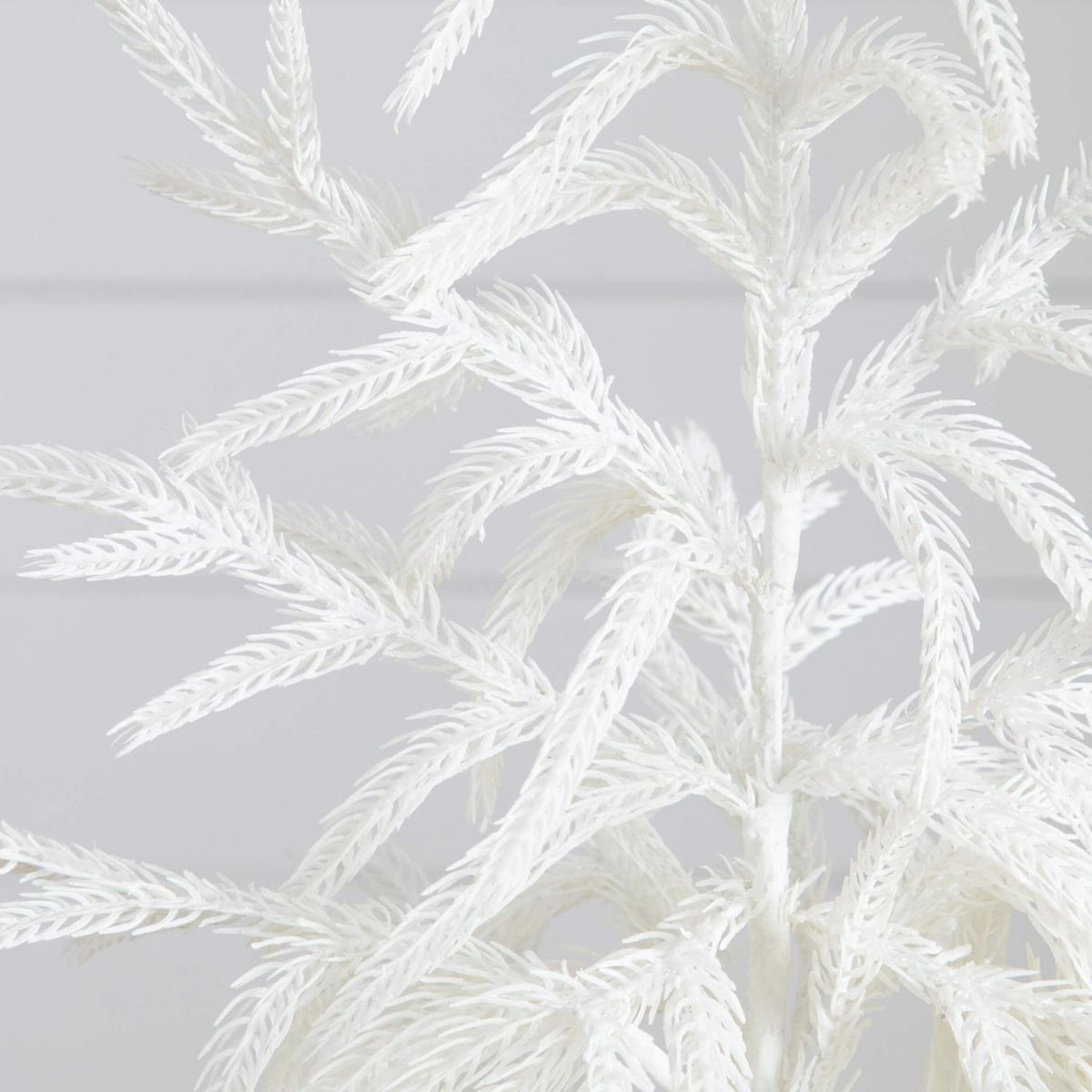 2-Foot Artificial Real Touch White Norfolk Island Pine Christmas Tree with Natural Look