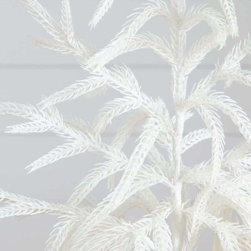 2-Foot Artificial Real Touch White Norfolk Island Pine Christmas Tree with Natural Look