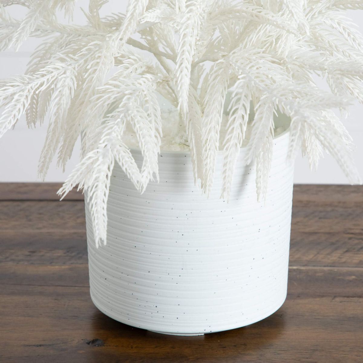 2-Foot Artificial Real Touch White Norfolk Island Pine Christmas Tree with Natural Look