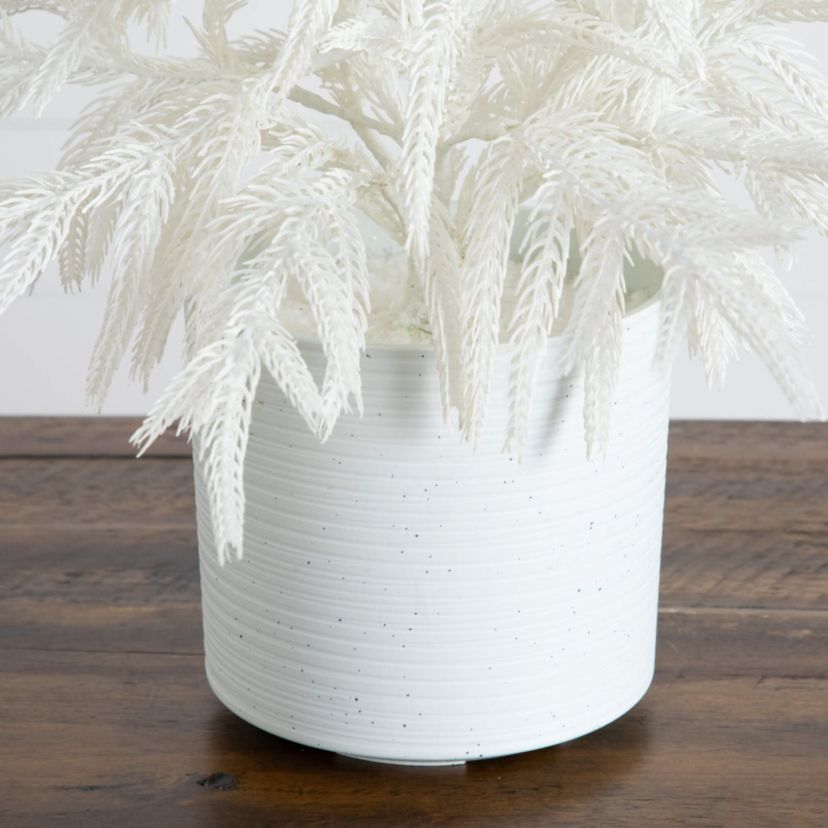 2-Foot Artificial Real Touch White Norfolk Island Pine Christmas Tree with Natural Look