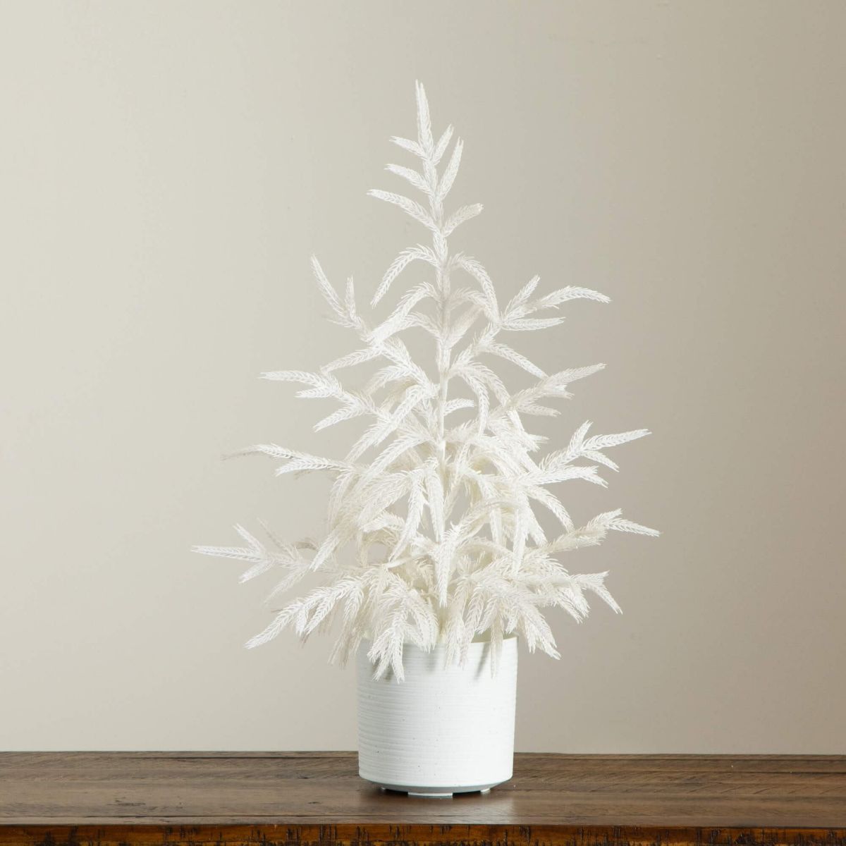 2-Foot Artificial Real Touch White Norfolk Island Pine Christmas Tree with Natural Look