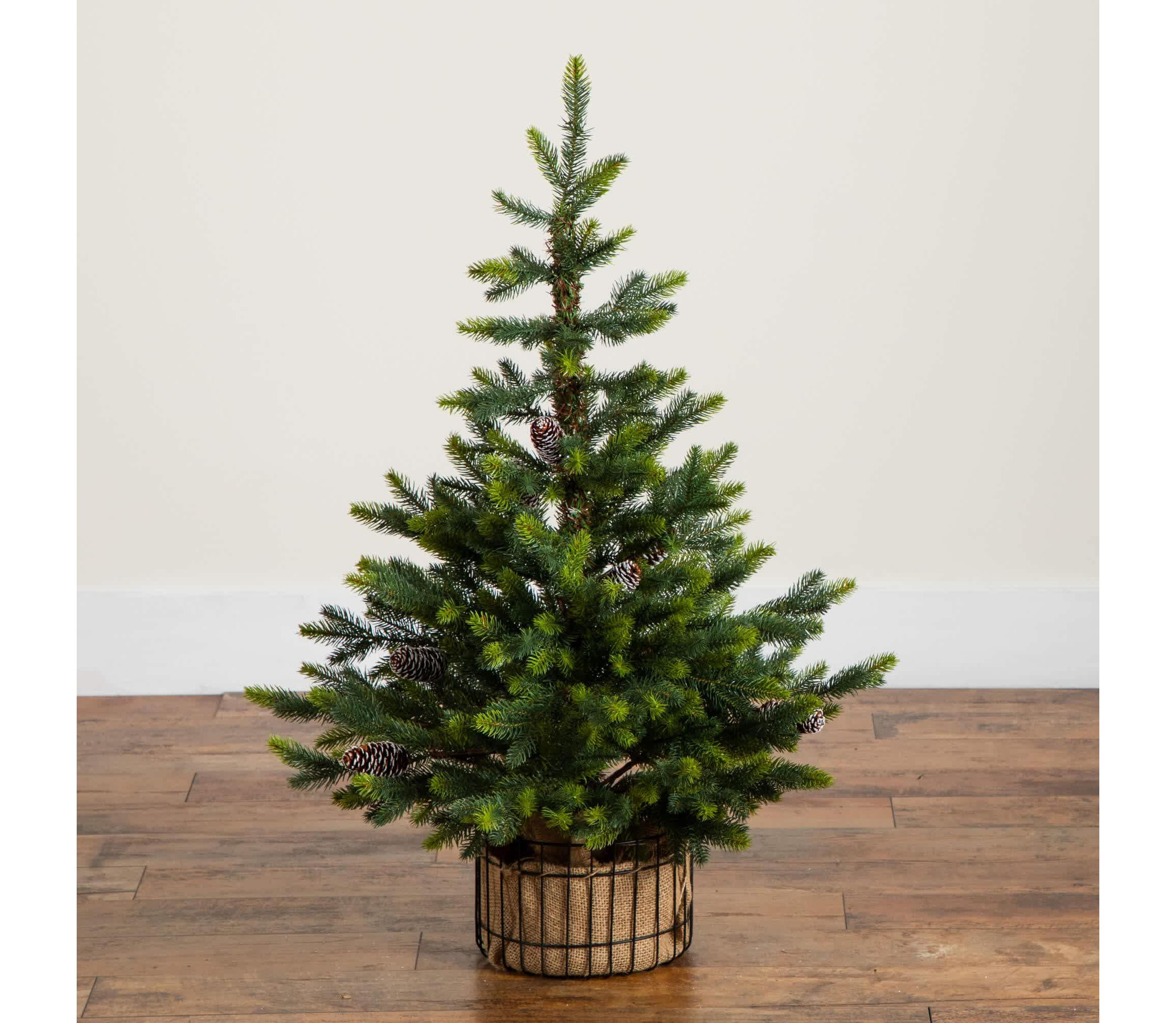 3-Foot Artificial Balsam Fir Christmas Tree with Pine Cones in Jute Wire Planter