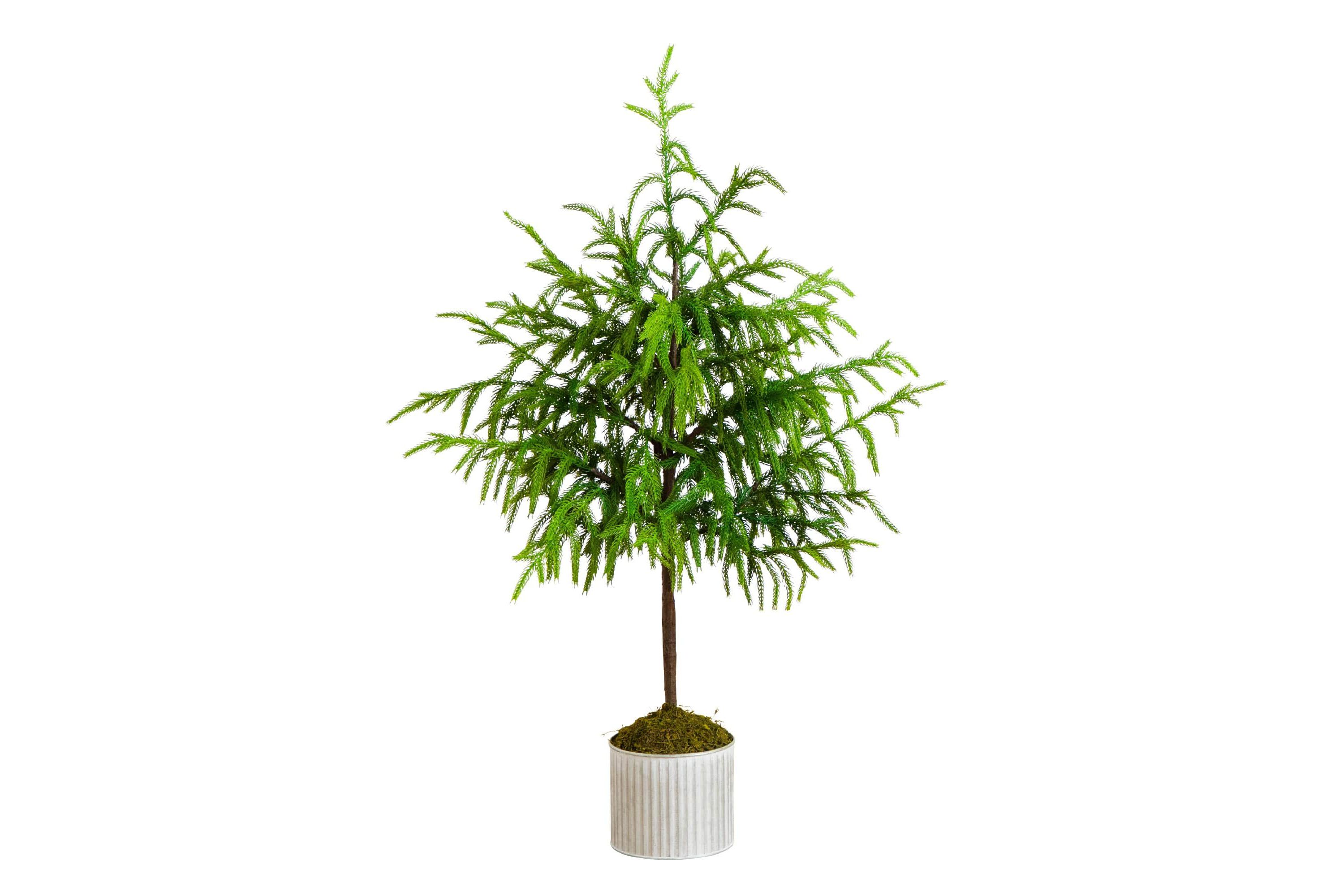 3-Foot Artificial Real Touch Norfolk Island Pine in Metal Tin Planter with Natural Look