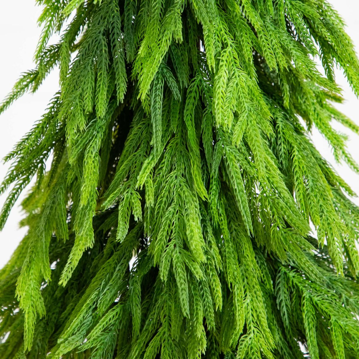 4-Foot Artificial Real Touch Down Swept Norfolk Pine Tree with Natural Look