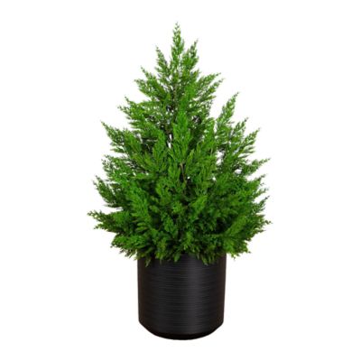 Nearly Natural 3-Foot Artificial Real Touch Winter Cypress Bush in Black Decorative Planter, Green