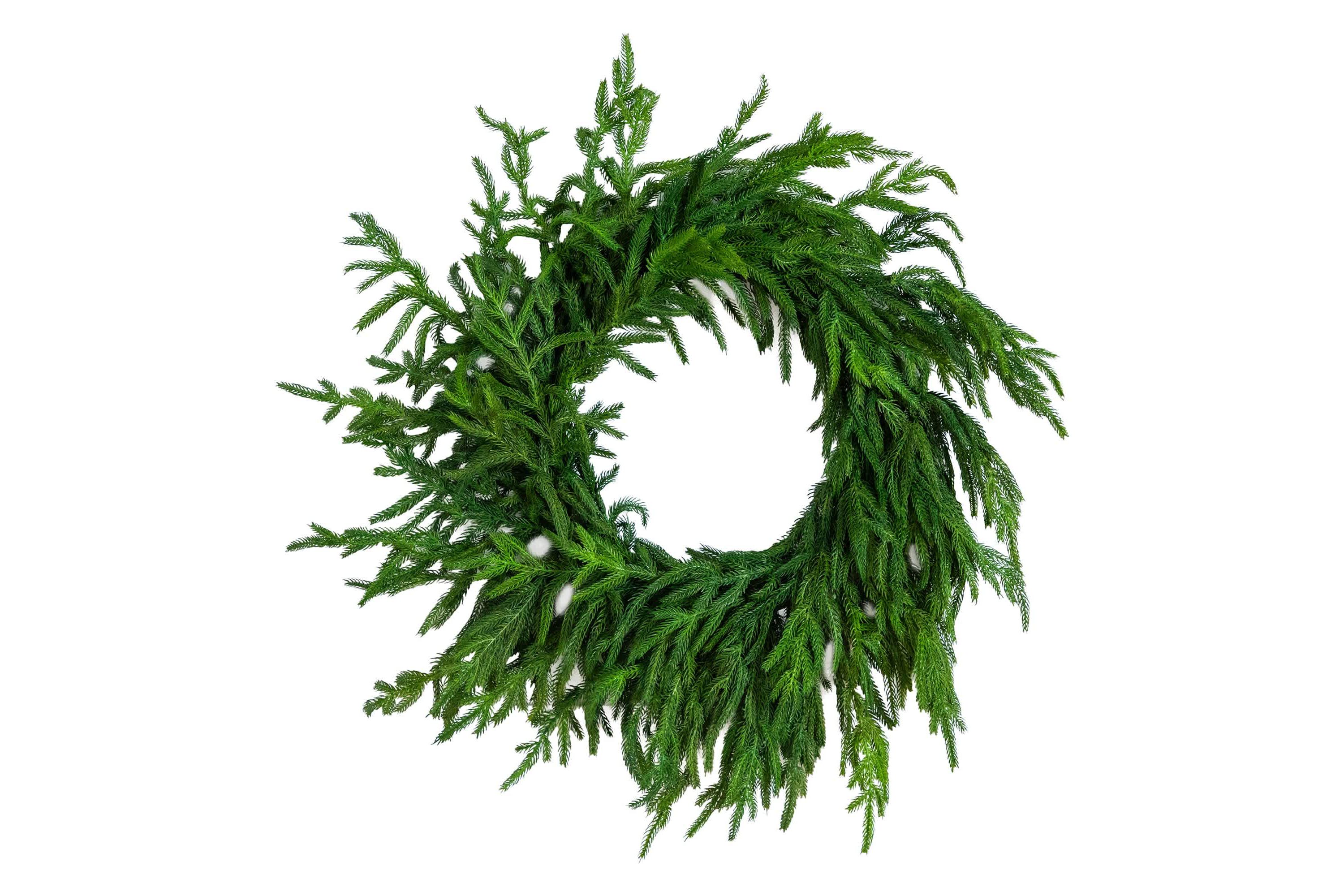 24-Inch Artificial Real Touch Norfolk Island Pine Wreath with Natural Look