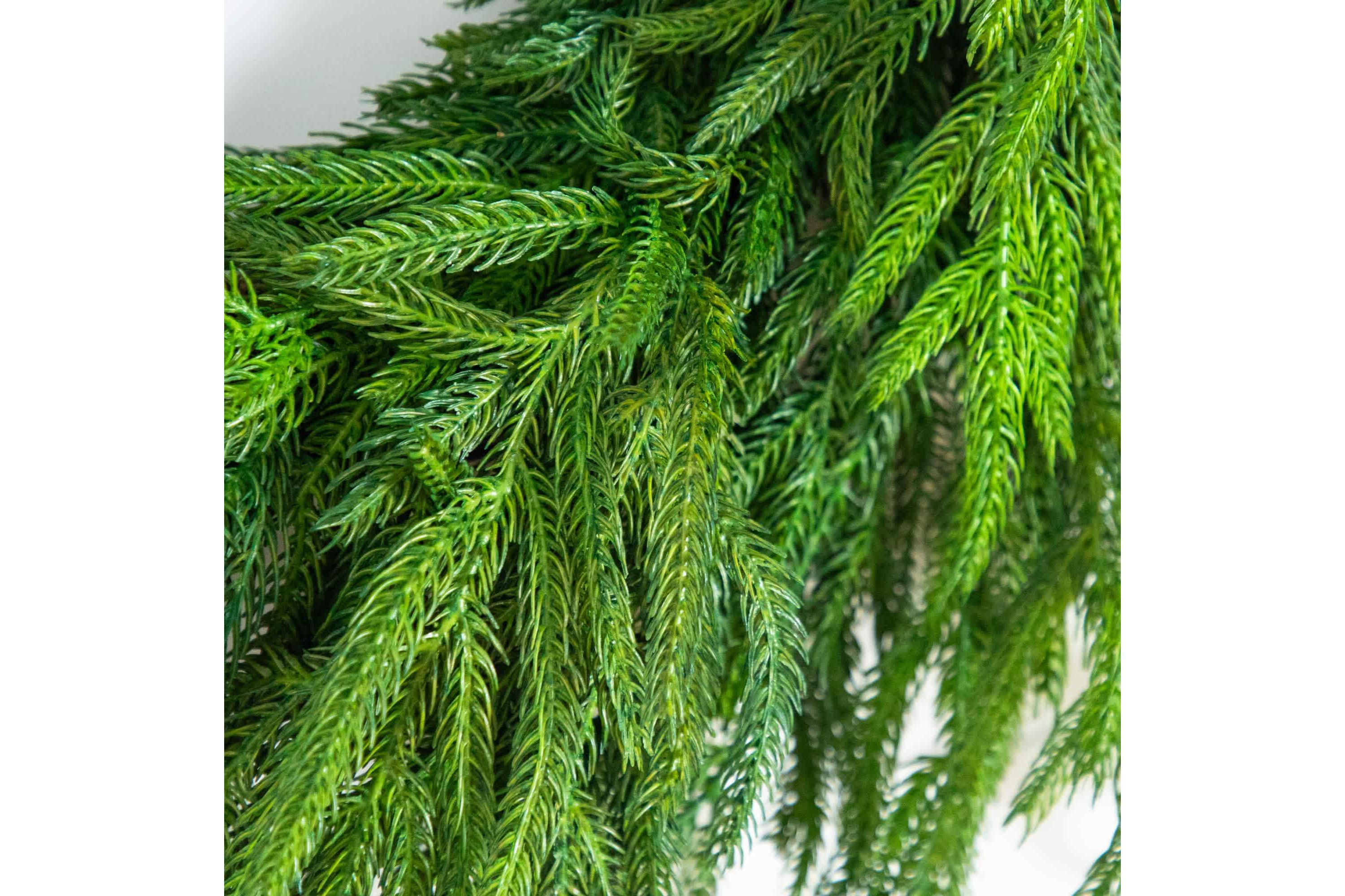 24-Inch Artificial Real Touch Norfolk Island Pine Wreath with Natural Look