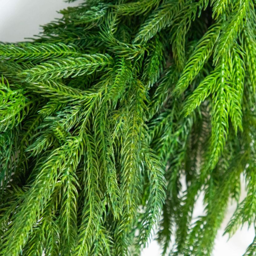 24-Inch Artificial Real Touch Norfolk Island Pine Wreath with Natural Look