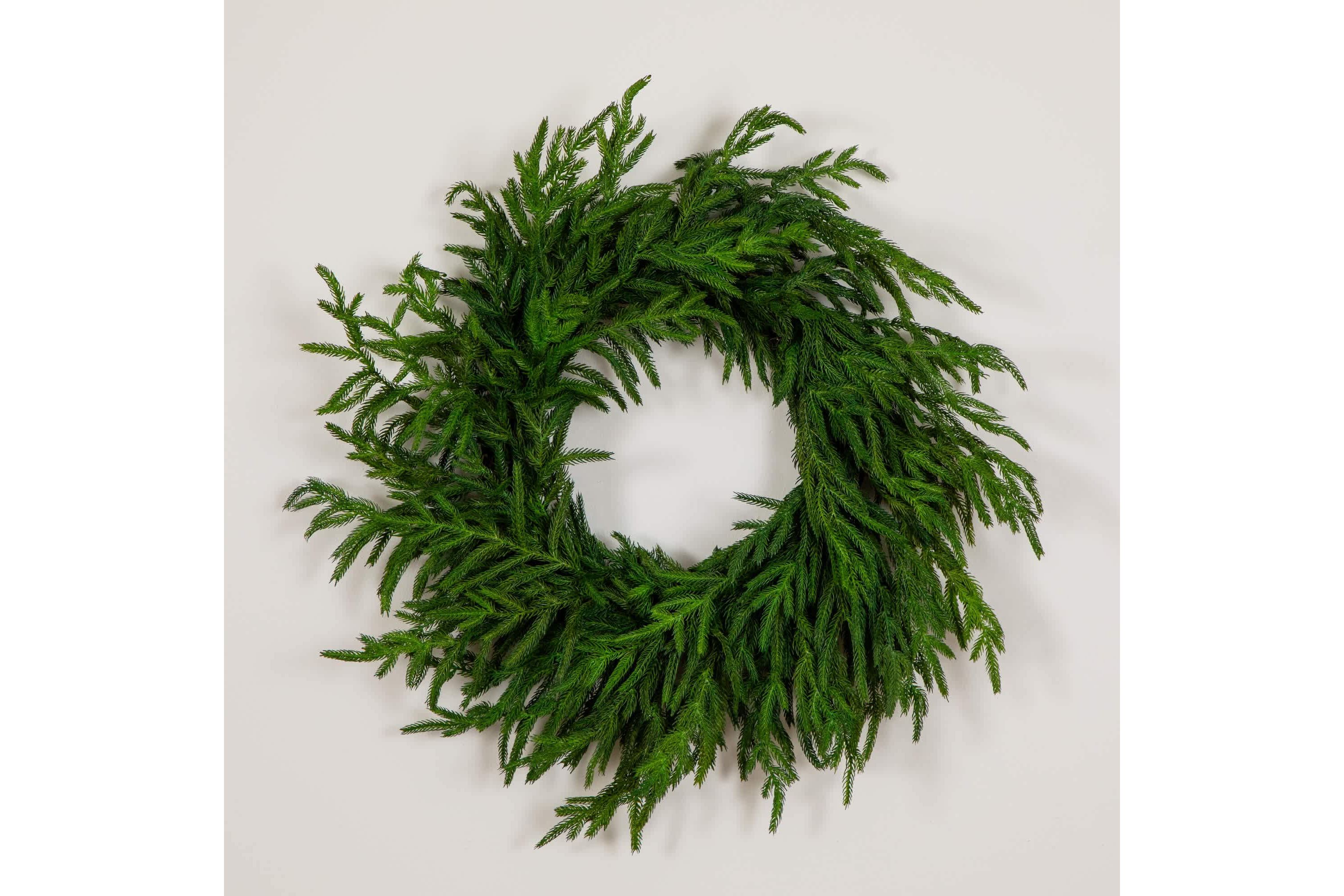 24-Inch Artificial Real Touch Norfolk Island Pine Wreath with Natural Look