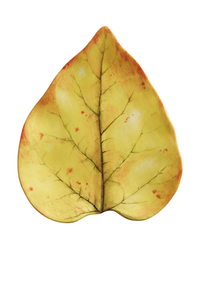 Forest Walk Leaf Cocktail Plate Set/4