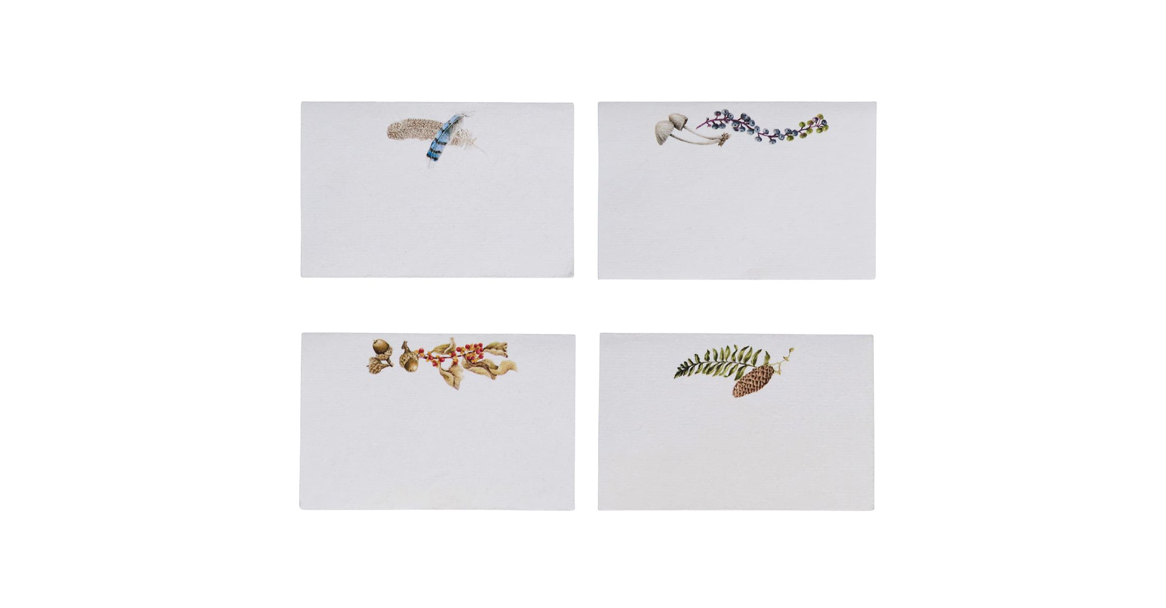 Forest Walk Place Card Assorted Set/12 - Multi