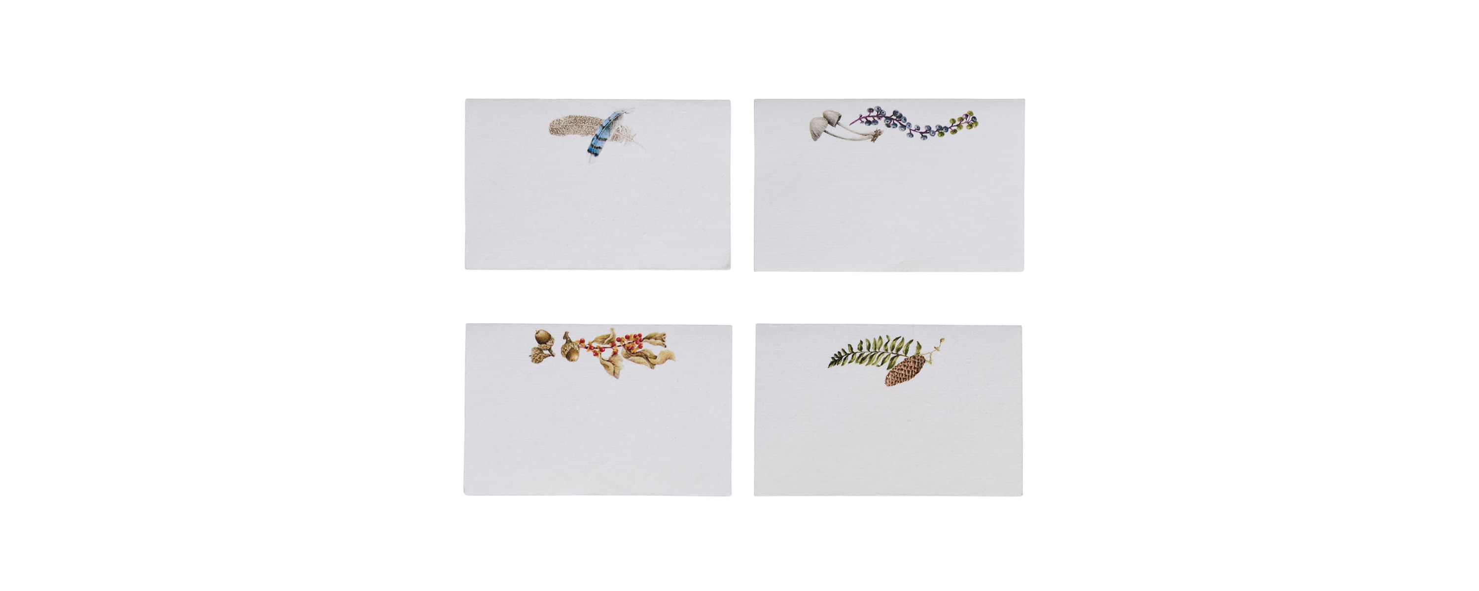 Forest Walk Place Card Assorted Set/12 - Multi