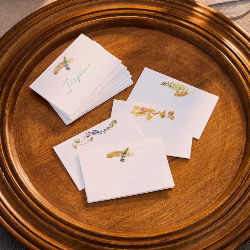 Forest Walk Place Card Assorted Set/12 - Multi