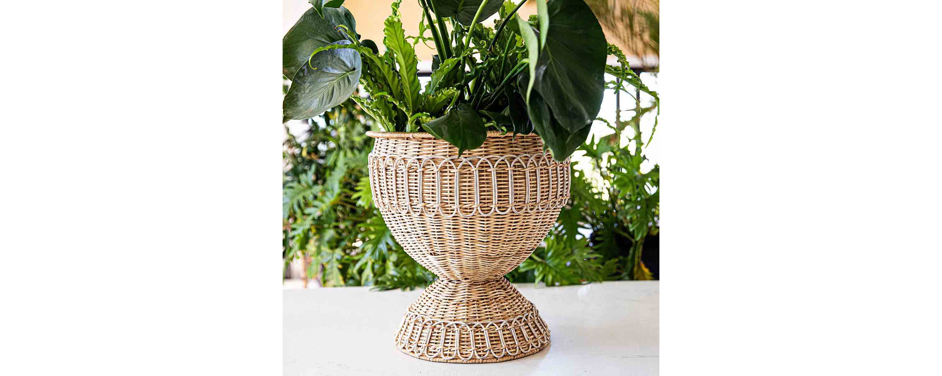 Provence Rattan Medium Urn - Whitewash