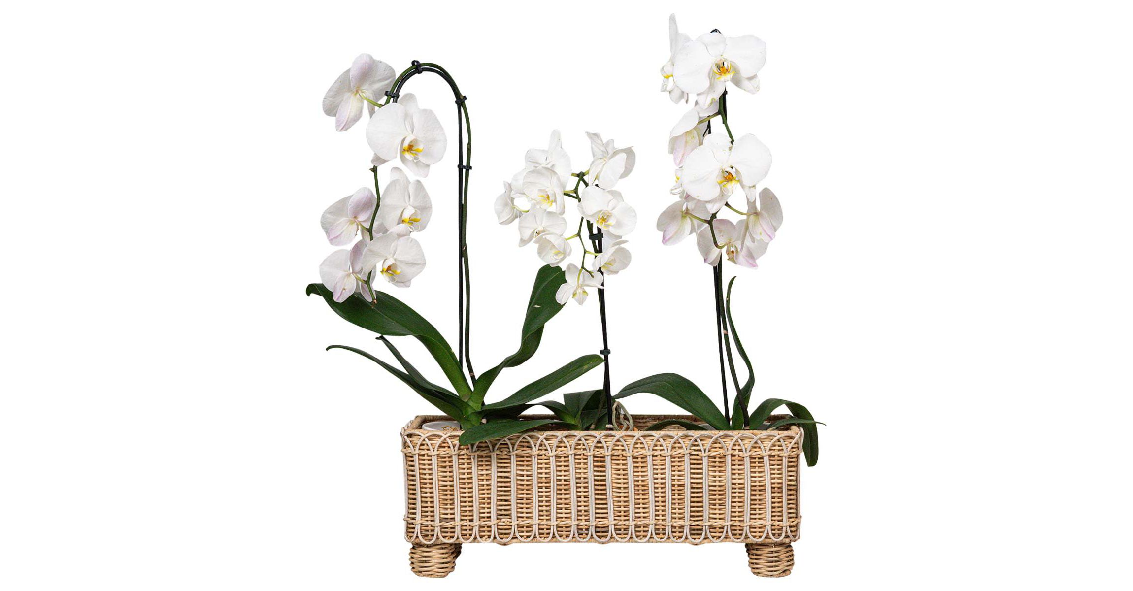 Provence Rattan Rectangular Planter - Whitewash