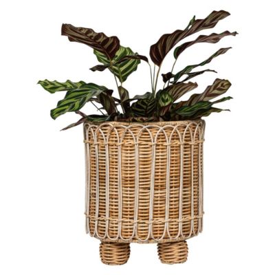 Provence Rattan 8" Round Planter - Whitewash