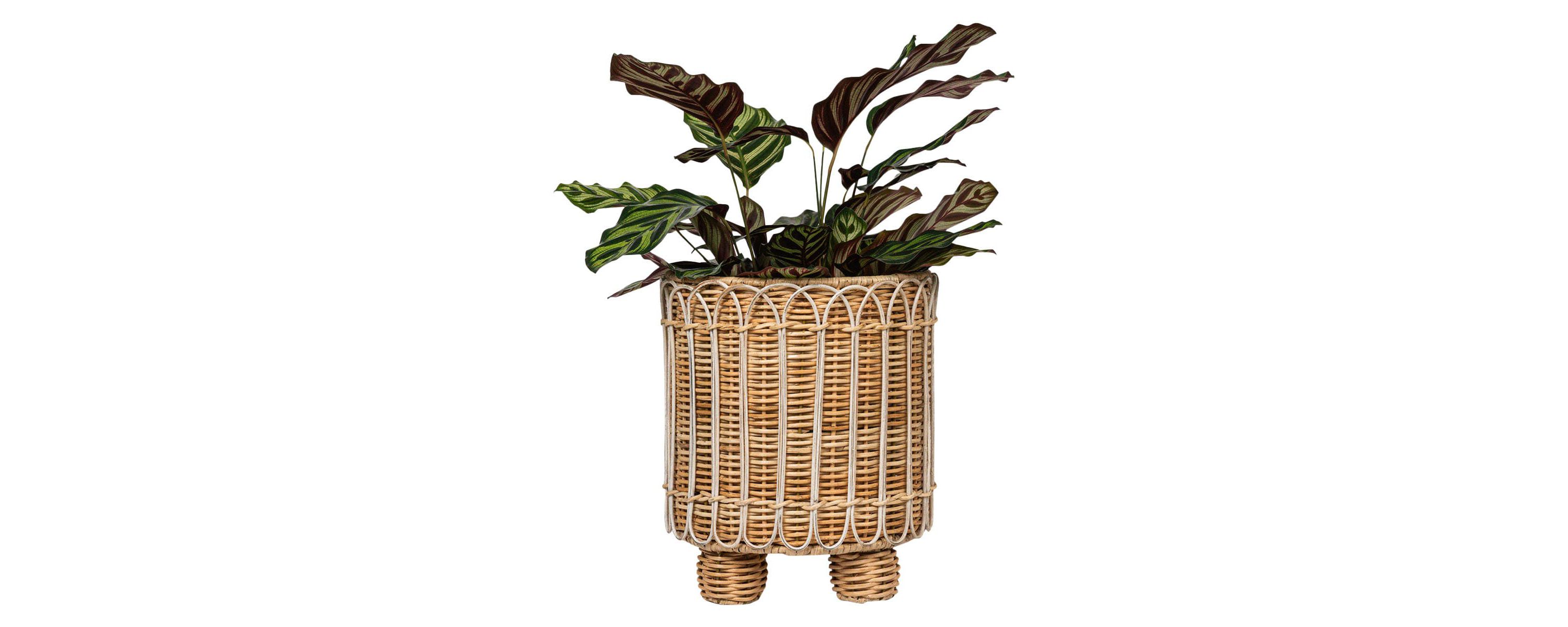 Provence Rattan 8" Round Planter - Whitewash