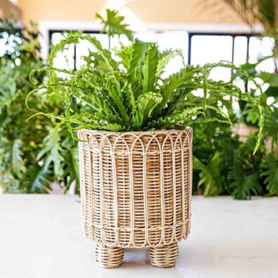 Provence Rattan 8" Round Planter - Whitewash