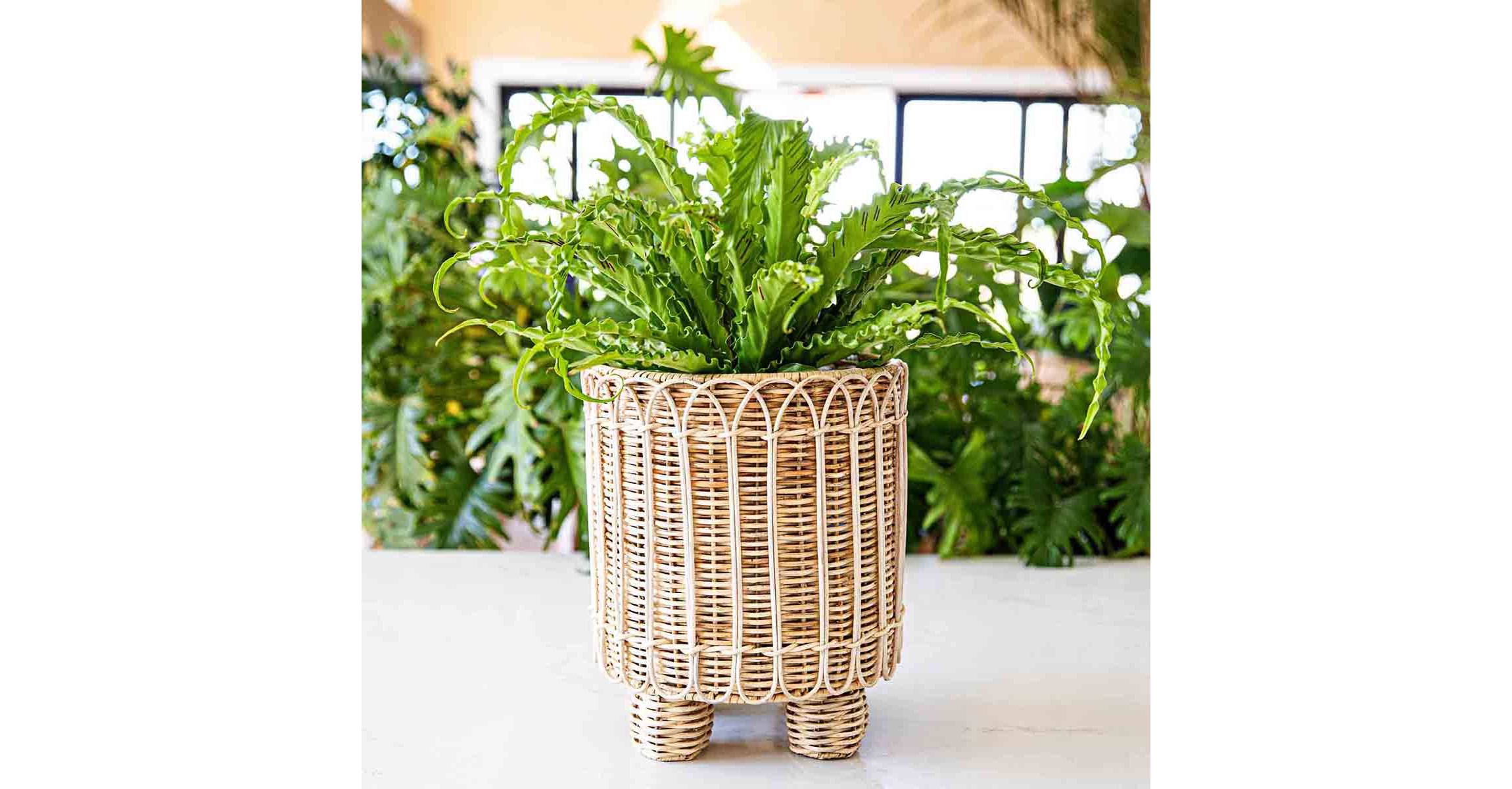Provence Rattan 8" Round Planter - Whitewash