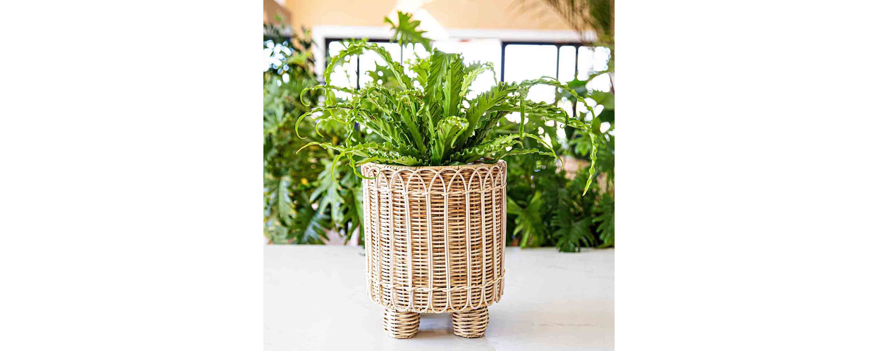 Provence Rattan 8" Round Planter - Whitewash