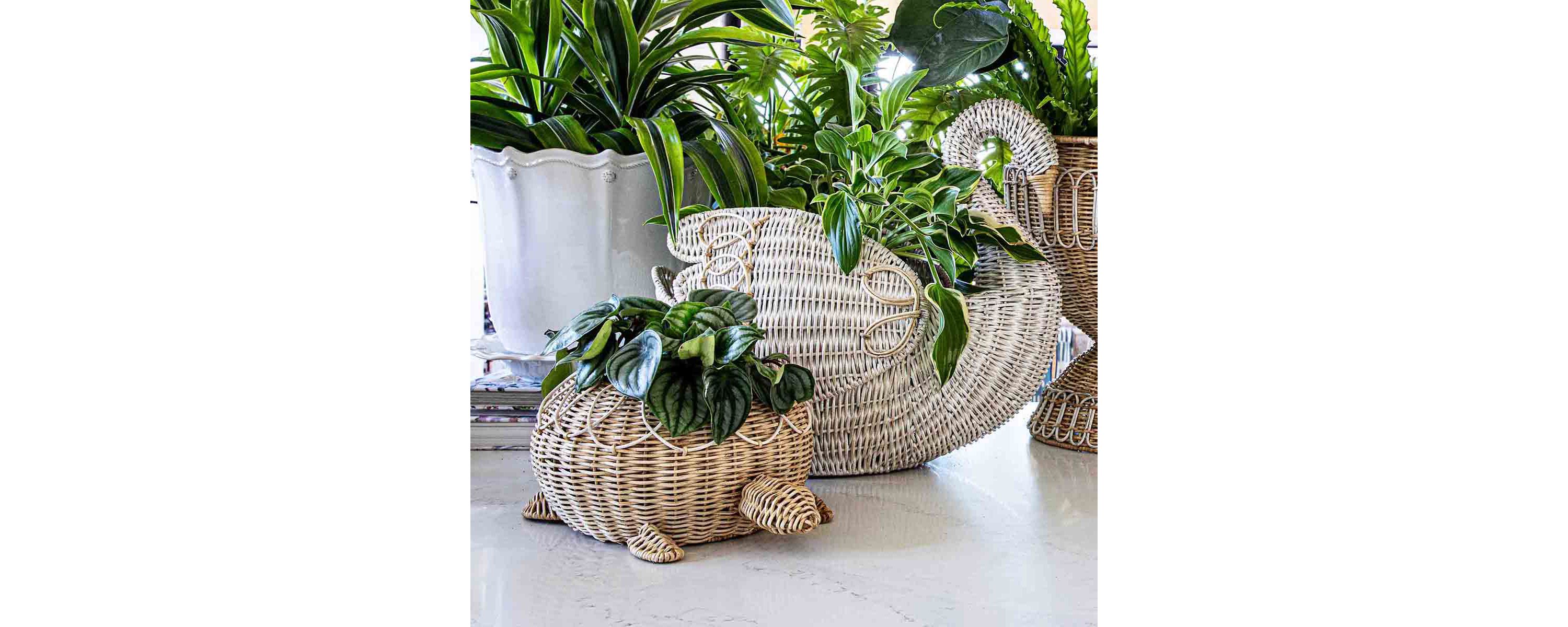 Provence Rattan Turtle Bowl - Whitewash
