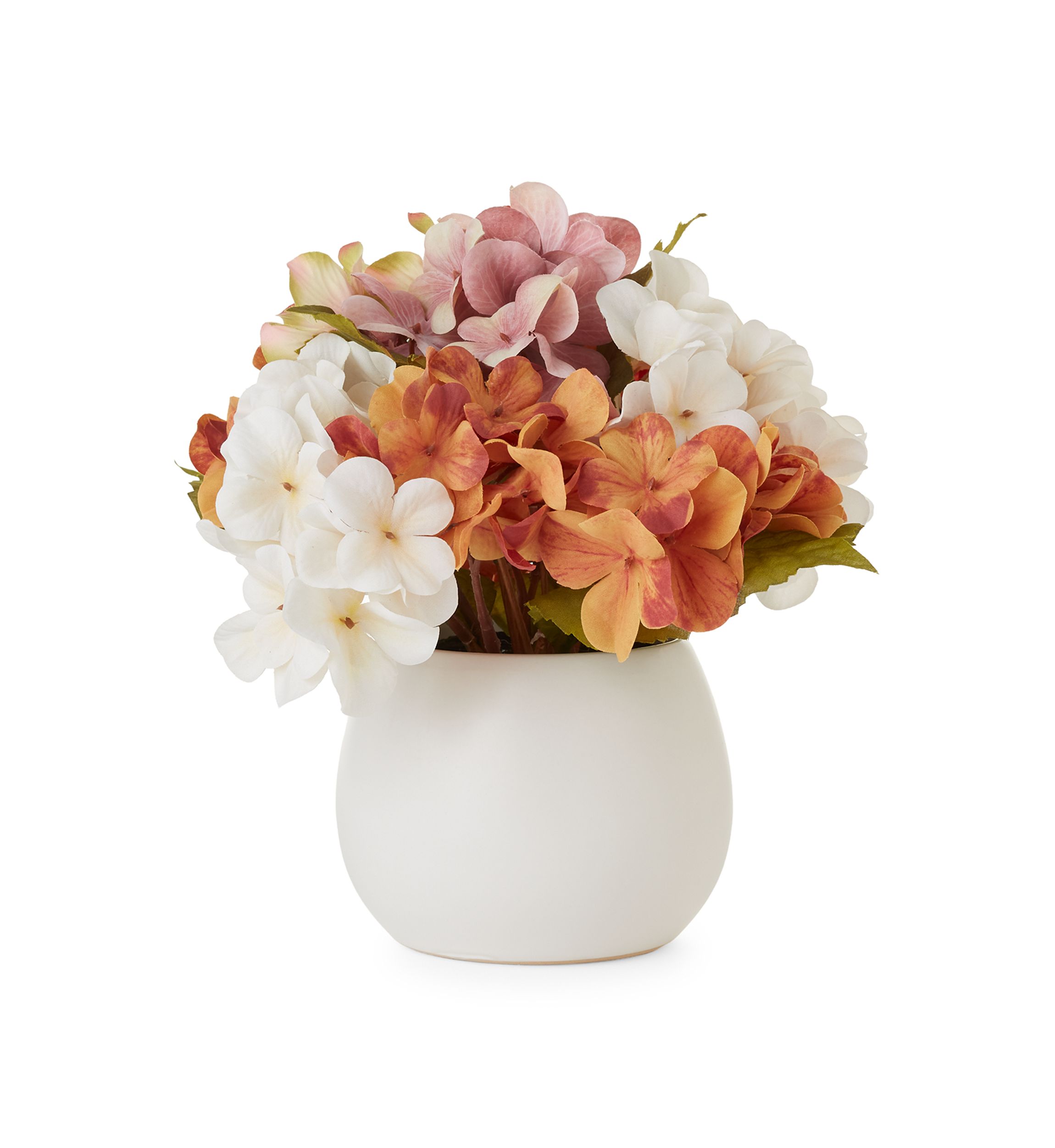 Fall Hydrangea Sitabout