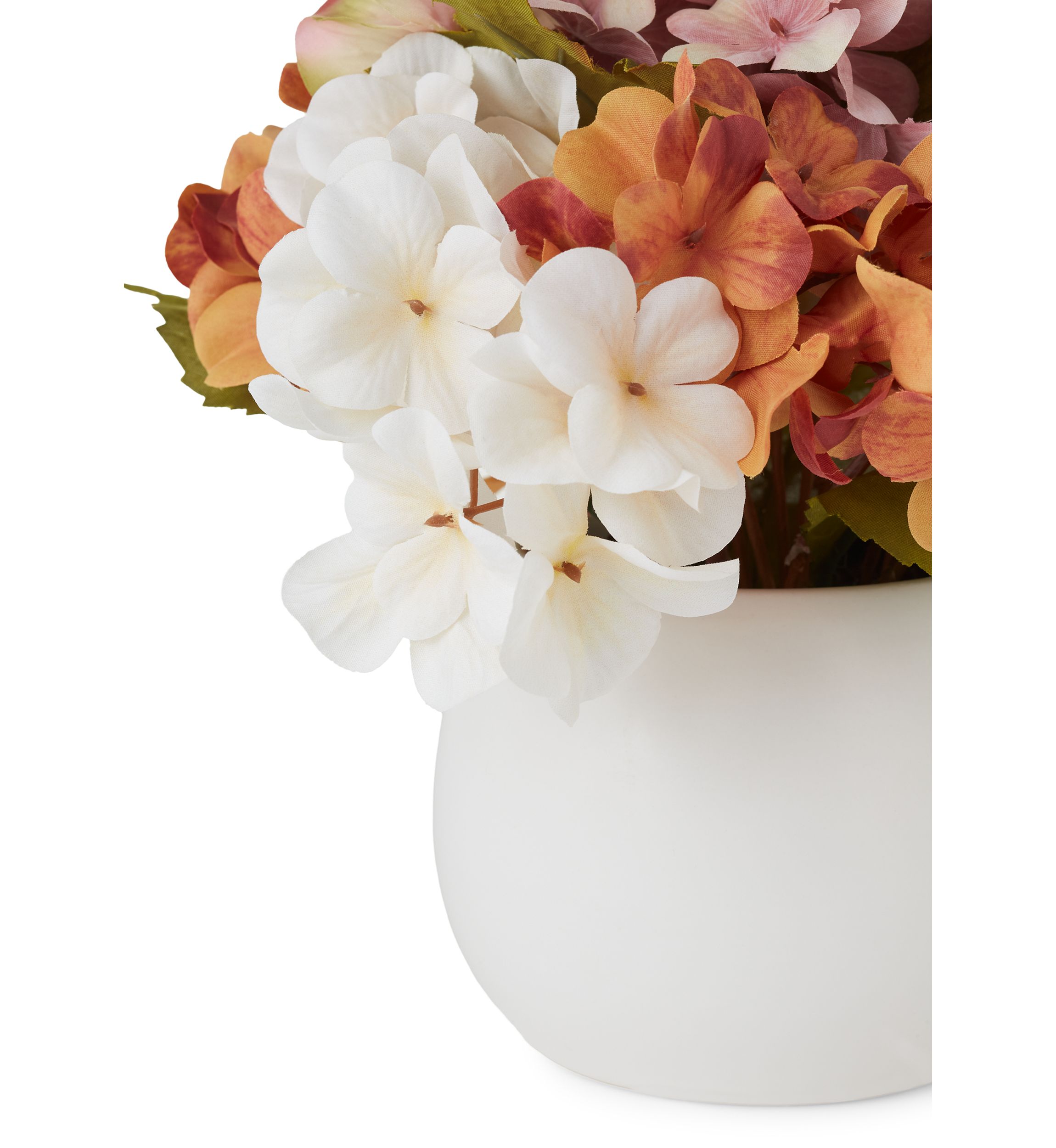 Fall Hydrangea Sitabout