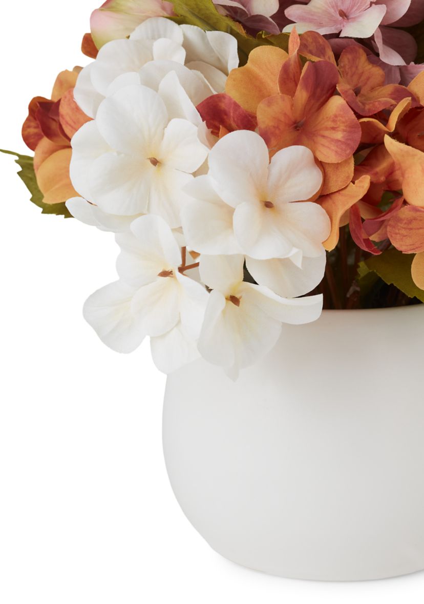 Fall Hydrangea Sitabout