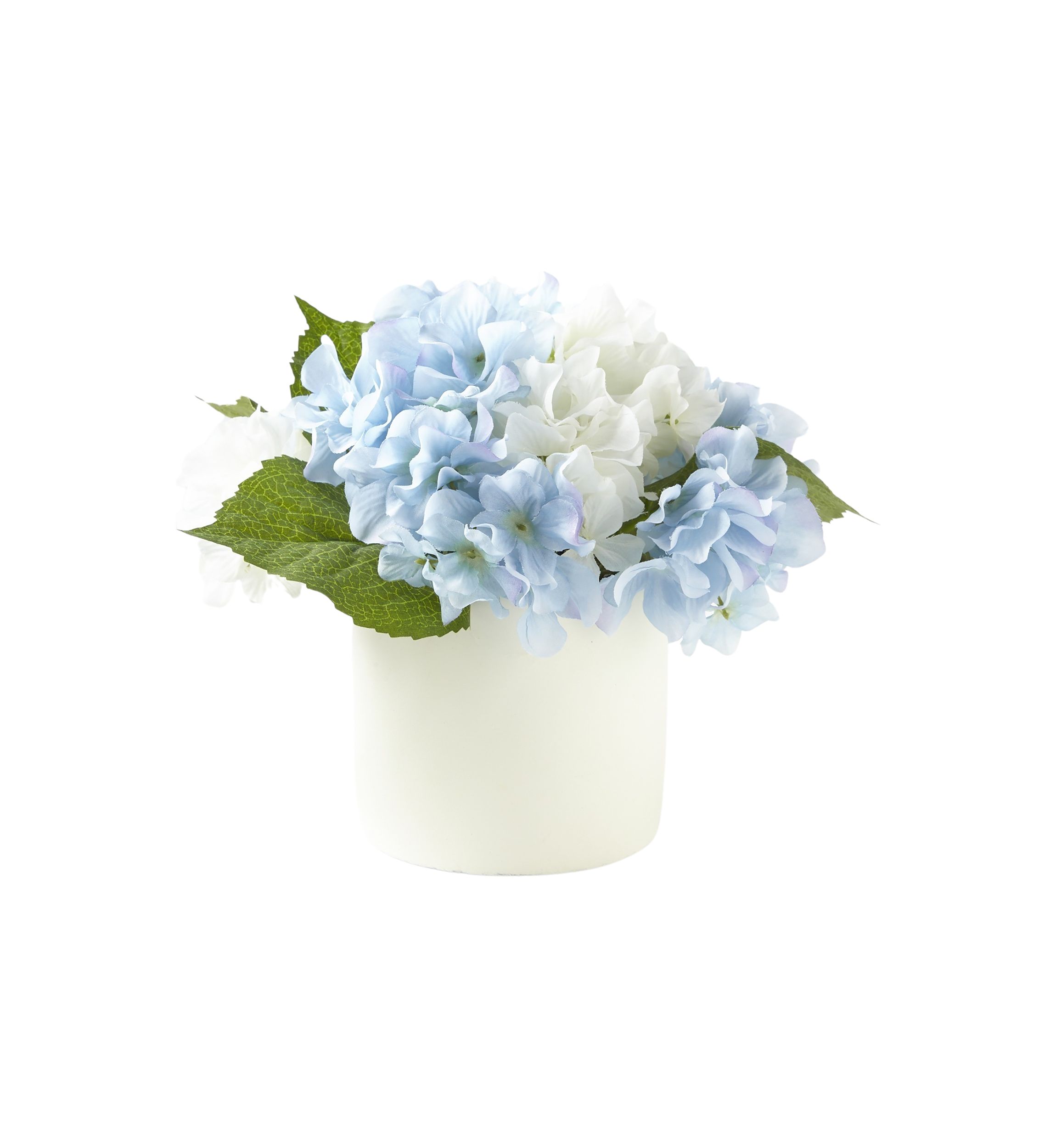 Hydrangea Sitabout
