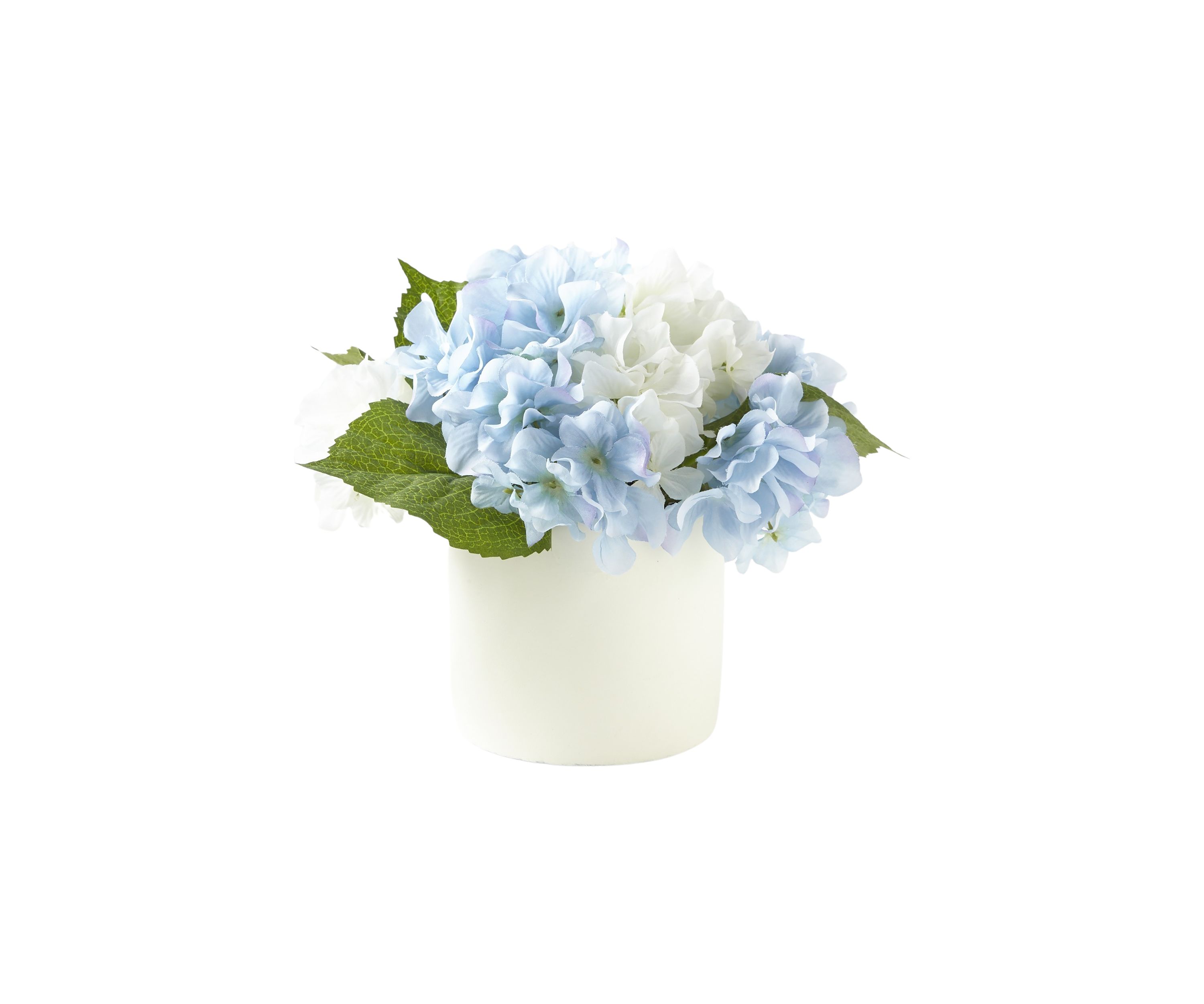 Hydrangea Sitabout